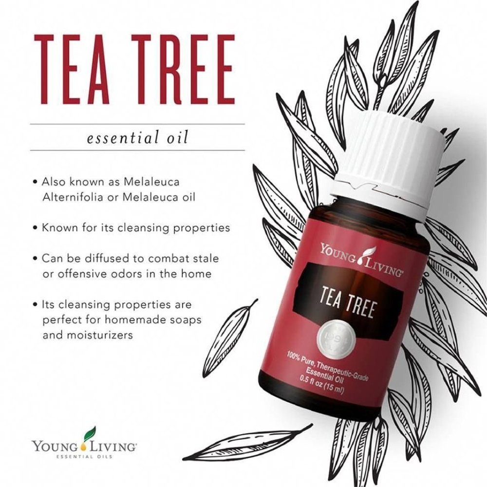 Young Living Tea Tree Oil 15ML NWT